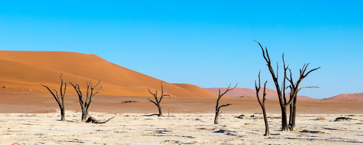 Sossusvlei - DeadVlei - Dolina Śmierci